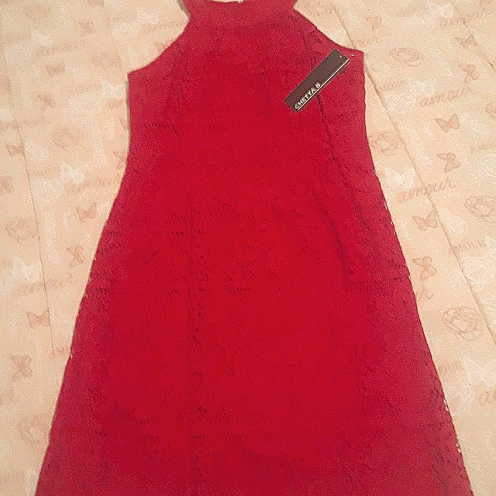 Sleeveless Lace Halter Sheath dress.